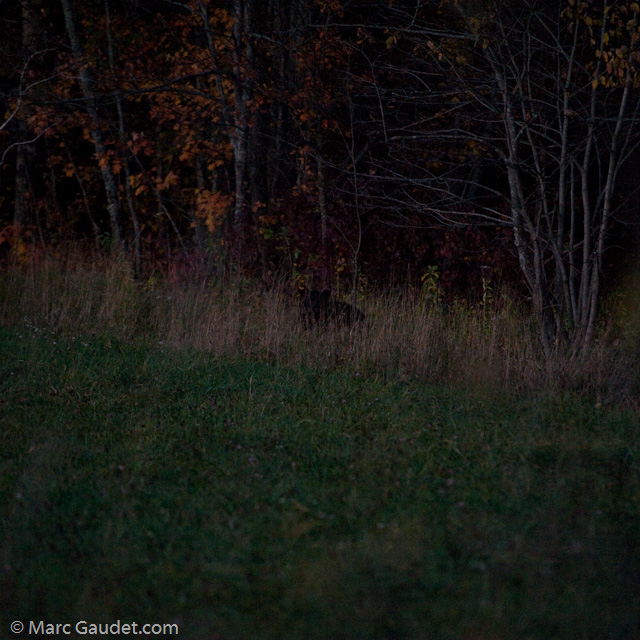 1/500 sec at f / 3.2