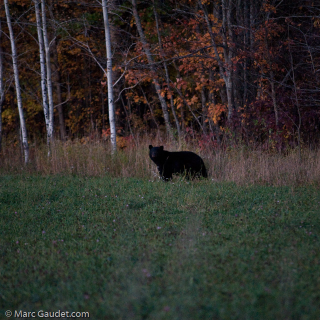 1/250 sec at f / 2.8