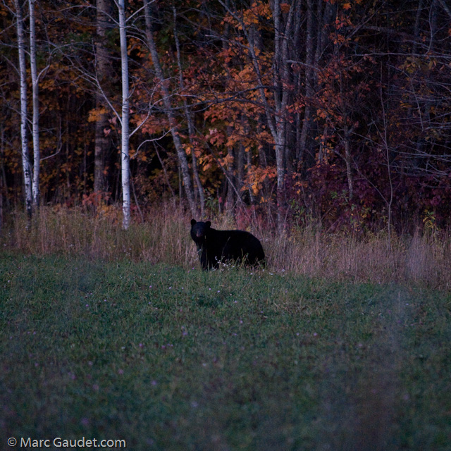 1/250 sec at f / 2.8
