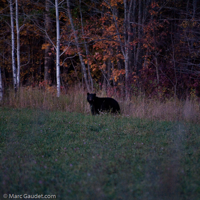 1/250 sec at f / 2.8