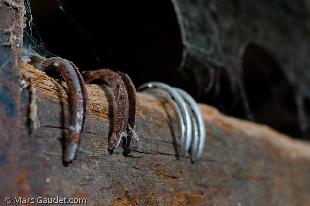 1/100 sec at f / 2.8