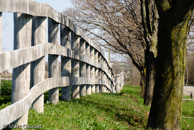 1/200 sec at f / 9.0