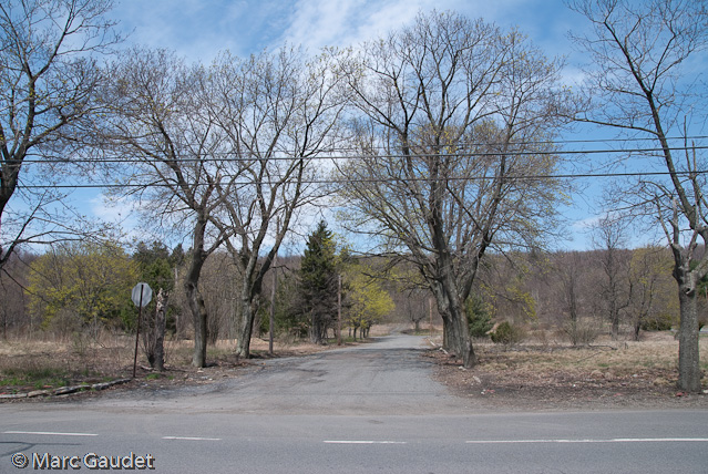 1/320 sec at f / 8.0