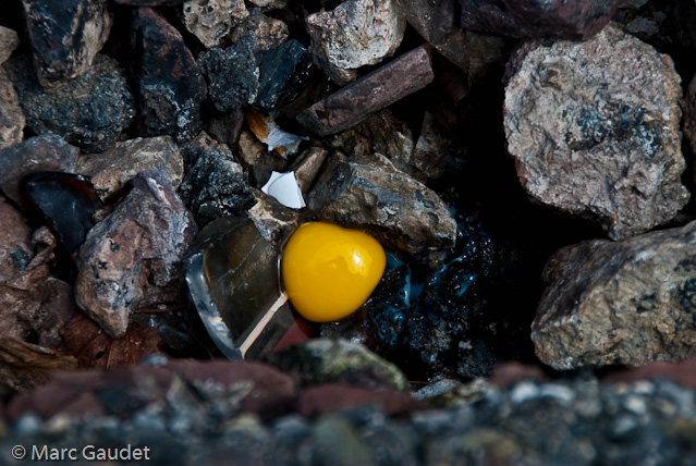 1/250 sec at f / 8.0