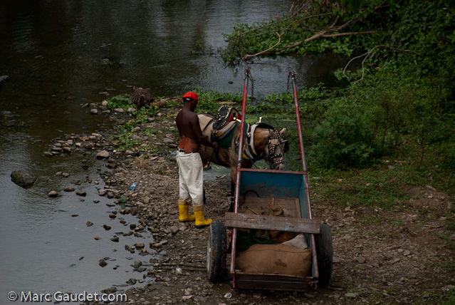 1/250 sec at f / 8.0