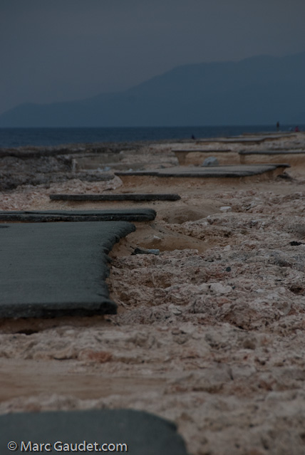 1/800 sec at f / 8.0