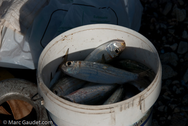 1/2000 sec at f / 8.0