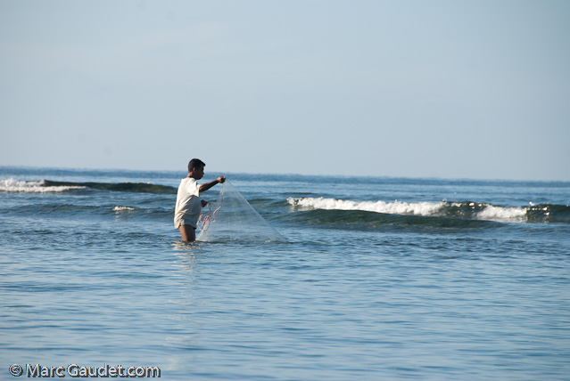 1/500 sec at f / 8.0