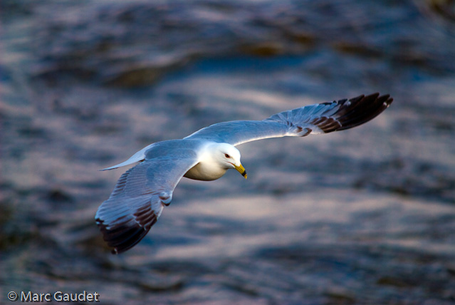 1/2000 sec at f / 2.8