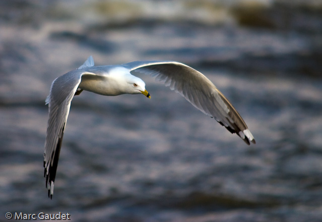 1/2000 sec at f / 2.8