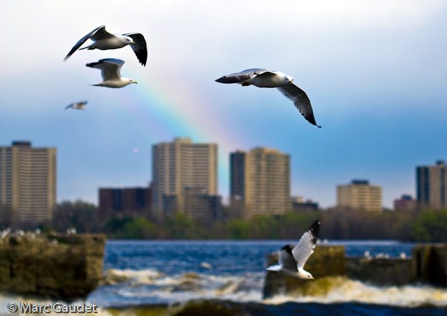 1/1250 sec at f / 2.8