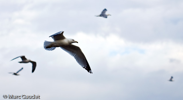 1/800 sec at f / 2.8