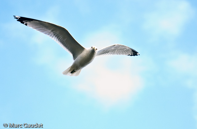 1/800 sec at f / 2.8