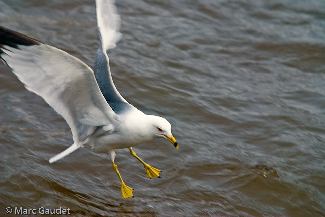 1/200 sec at f / 4.0