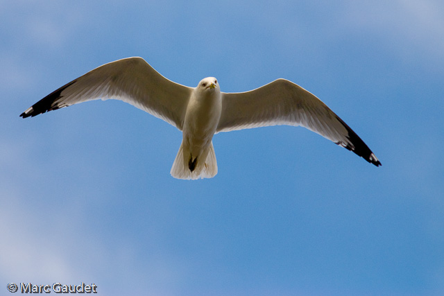 1/3200 sec at f / 2.8