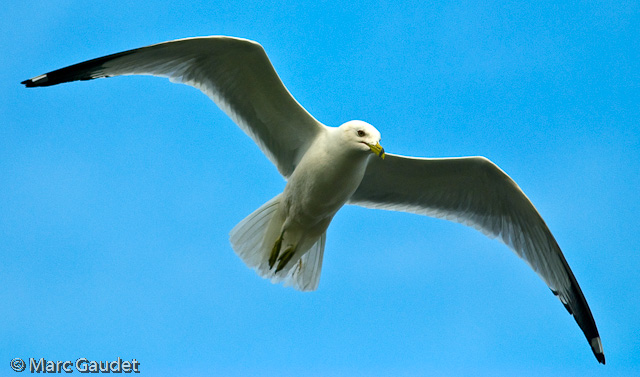 1/3200 sec at f / 2.8