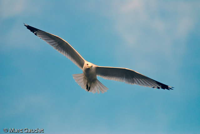 1/3200 sec at f / 2.8