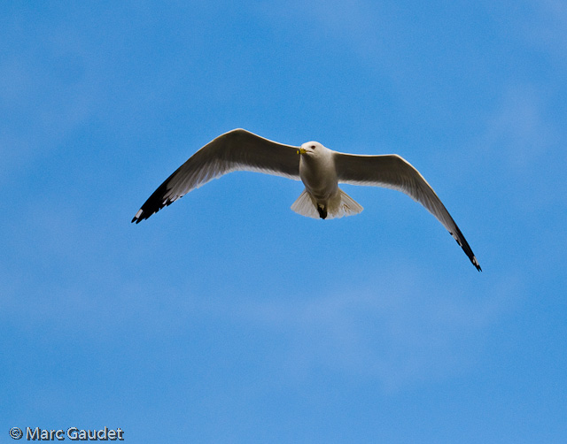 1/3200 sec at f / 2.8