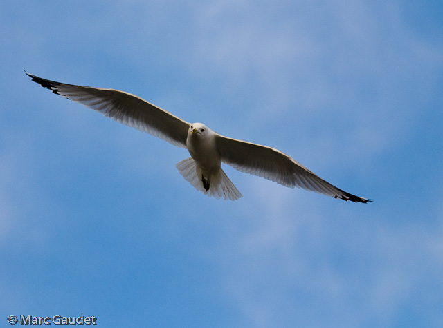1/3200 sec at f / 2.8