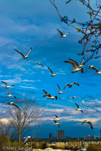 1/4000 sec at f / 6.3