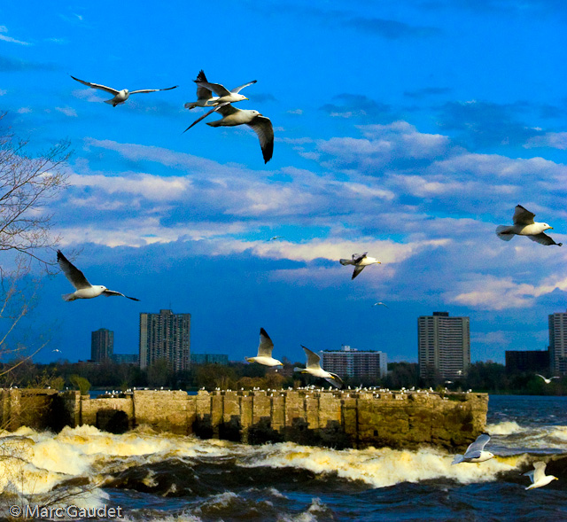 1/4000 sec at f / 6.3