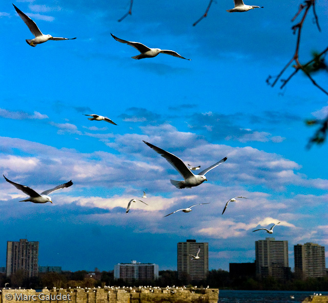 1/4000 sec at f / 6.3