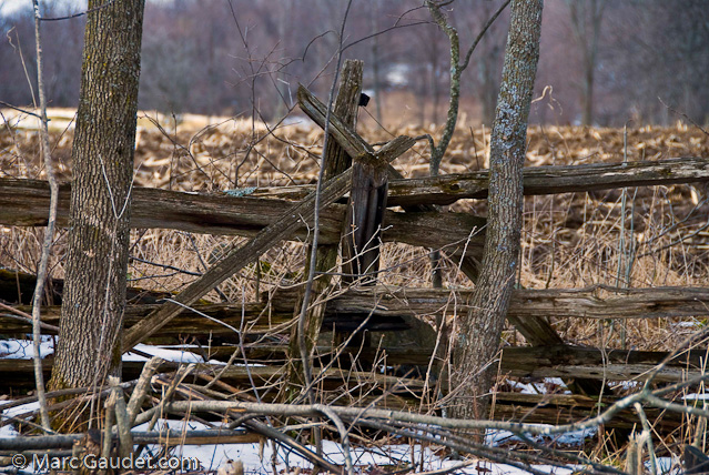 1/125 sec at f / 8.0