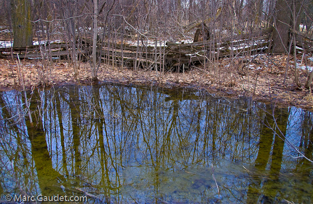 1/200 sec at f / 5.0