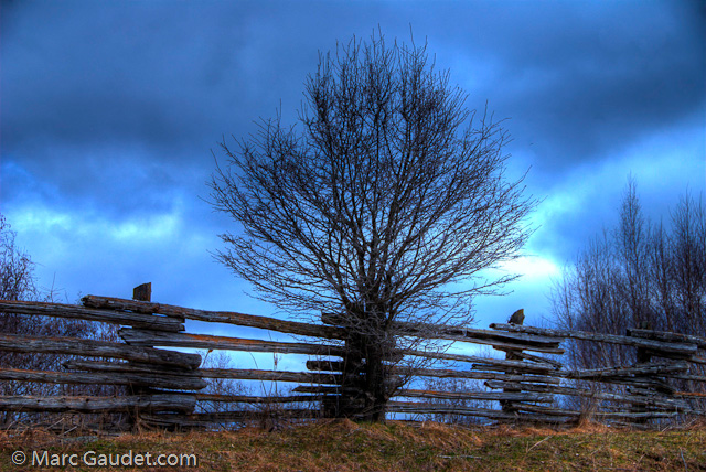 1/250 sec at f / 8.0