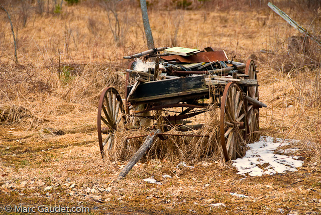 1/160 sec at f / 8.0