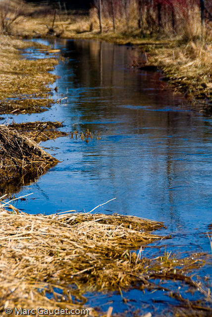 1/320 sec at f / 8.0