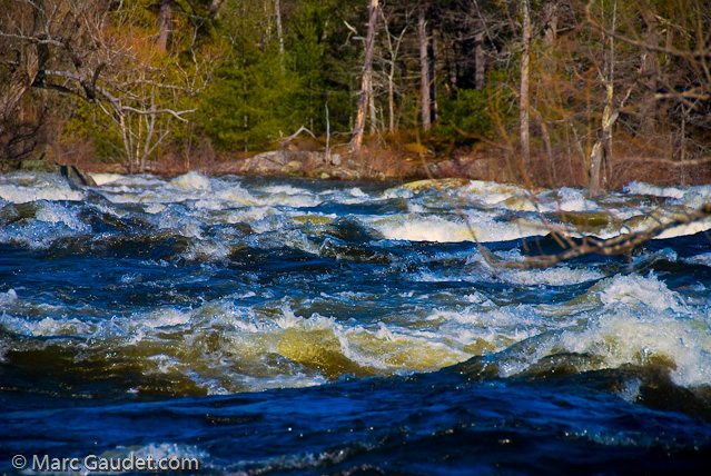 1/1250 sec at f / 5.6