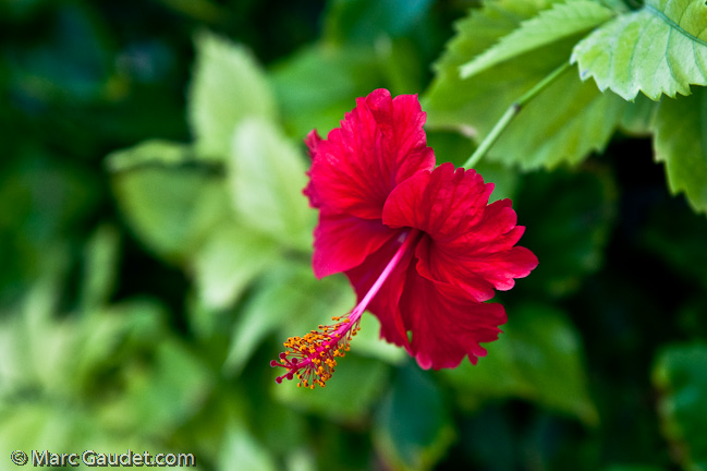 1/160 sec at f / 4.0