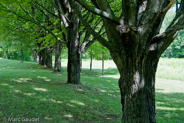 1/160 sec at f / 6.3