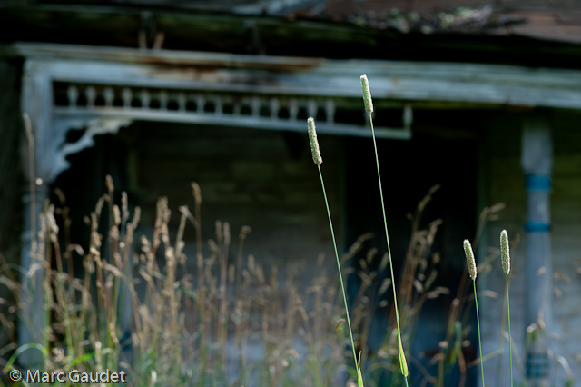 1/100 sec at f / 6.3