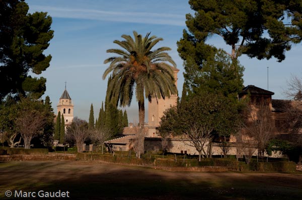 1/800 sec at f / 7.1