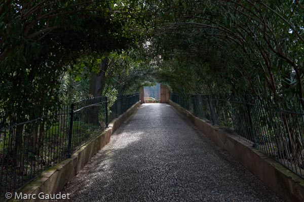 1/1000 sec at f / 5.6