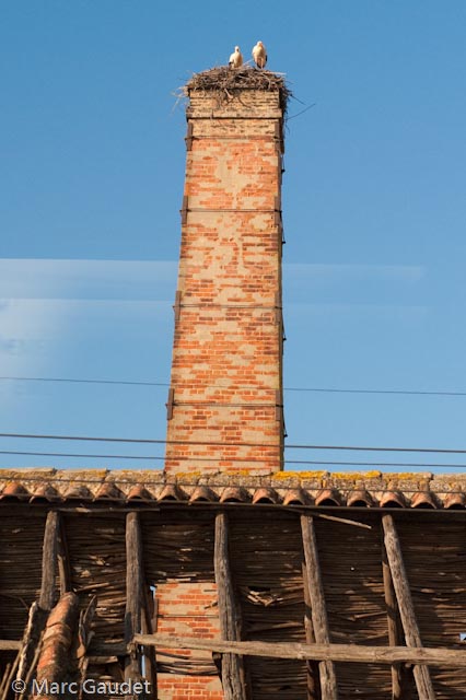 1/2500 sec at f / 4.5