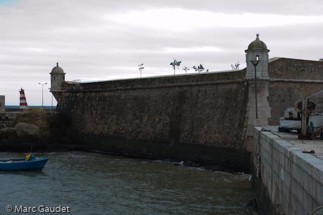 1/125 sec at f / 8.0