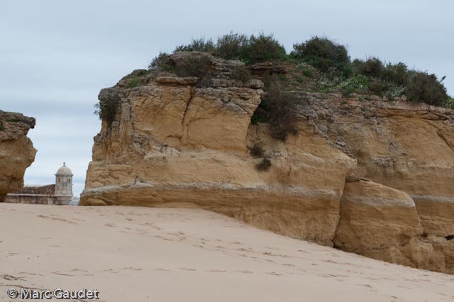 1/250 sec at f / 8.0