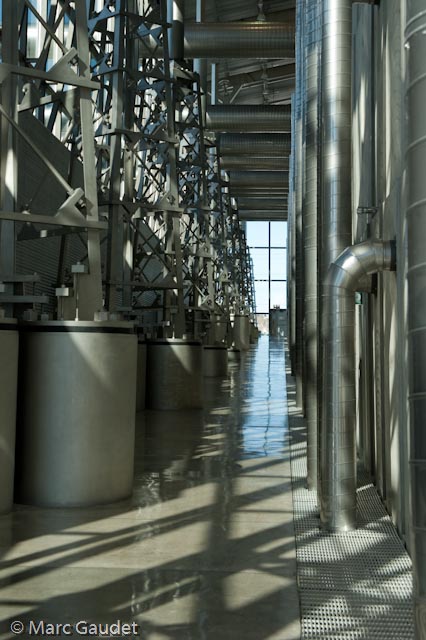 1/125 sec at f / 8.0