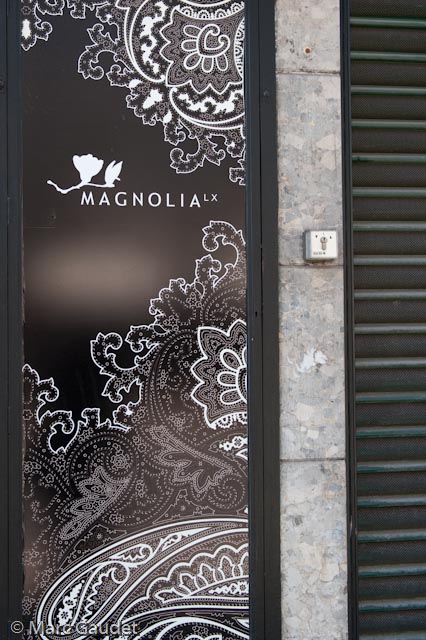 1/250 sec at f / 3.5