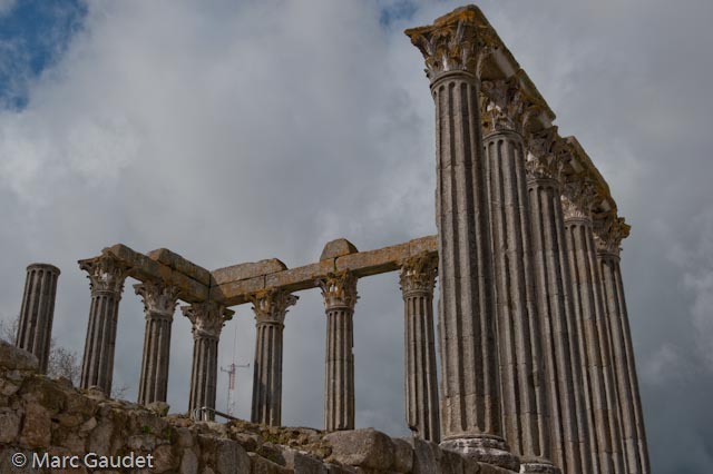 1/1600 sec at f / 8.0