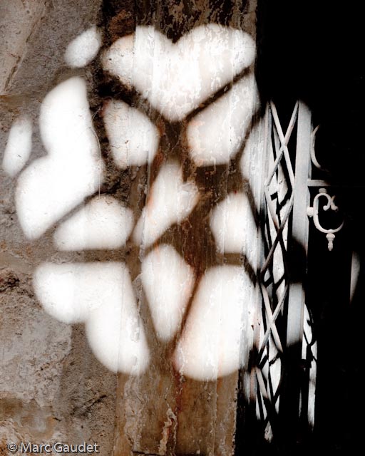 1/125 sec at f / 8.0