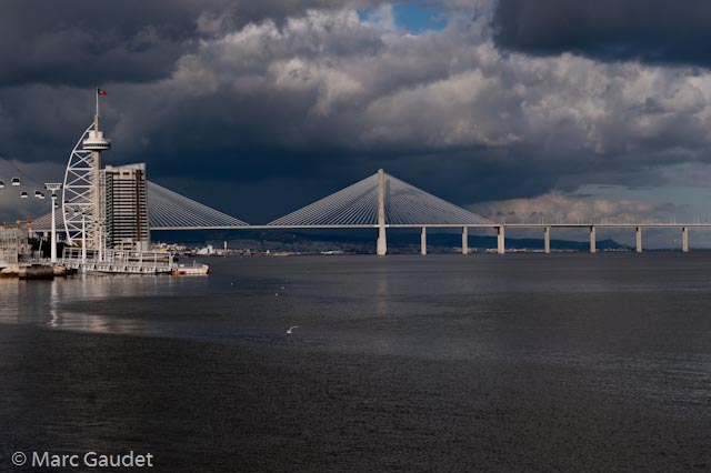 1/1250 sec at f / 8.0