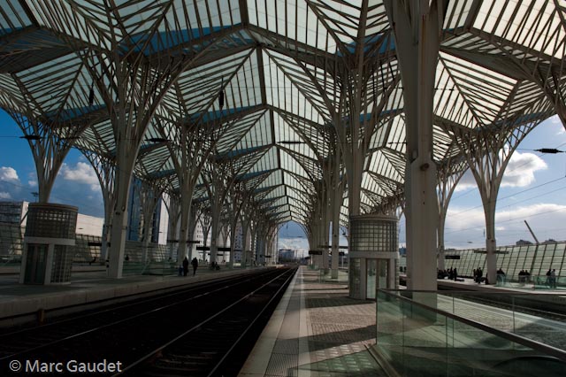 1/1250 sec at f / 8.0