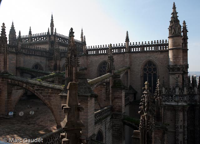 1/160 sec at f / 9.0