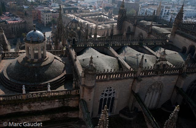 1/1600 sec at f / 5.0