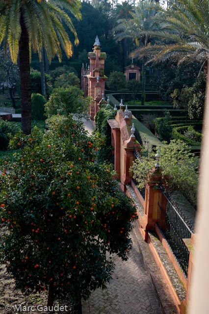 1/125 sec at f / 5.0