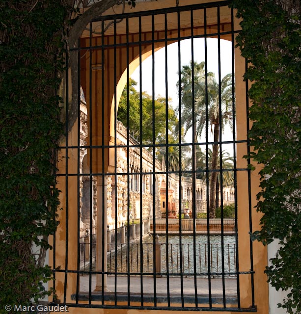 1/250 sec at f / 5.0